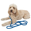 Custom Dog Leashes