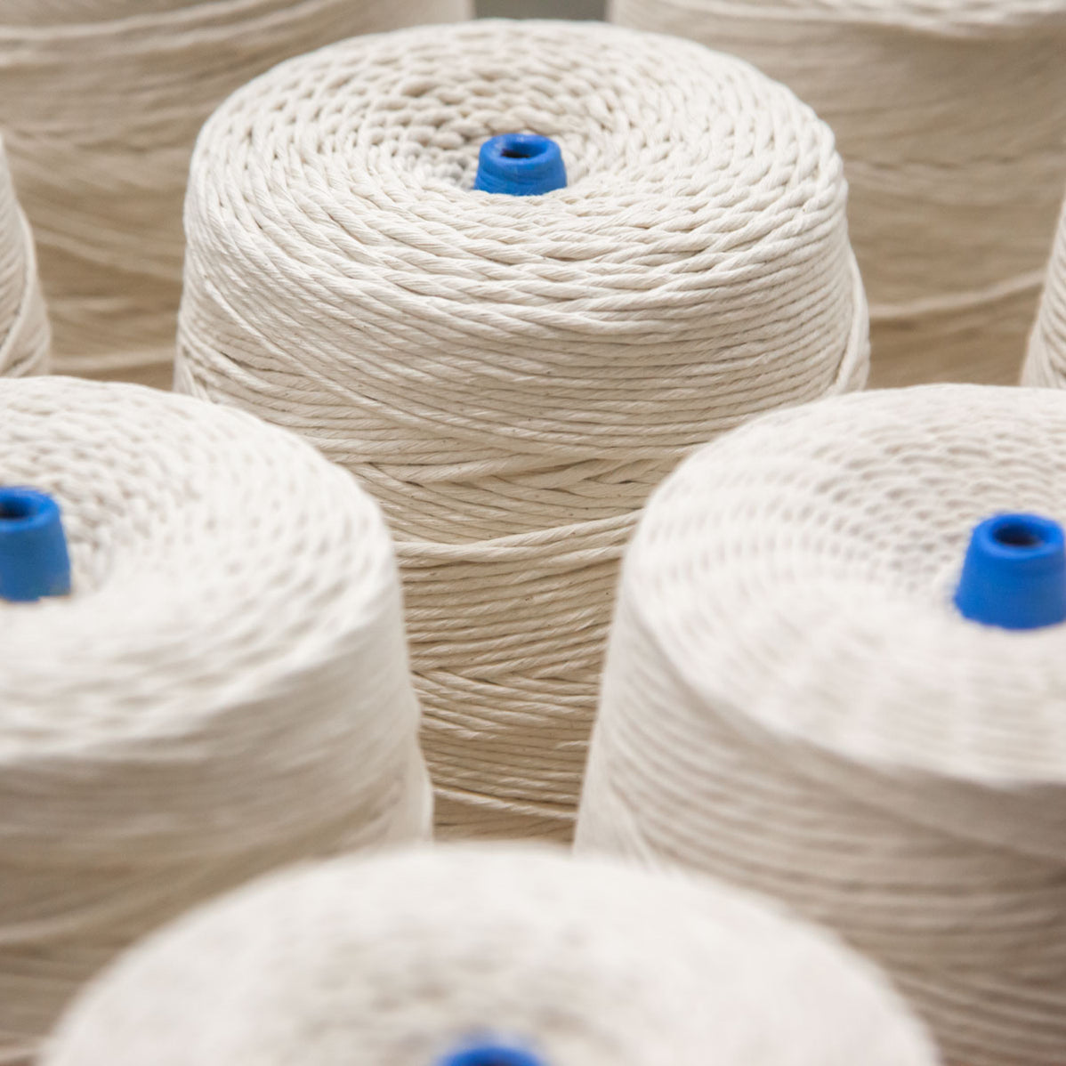 Cotton Rope — Knot & Rope Supply