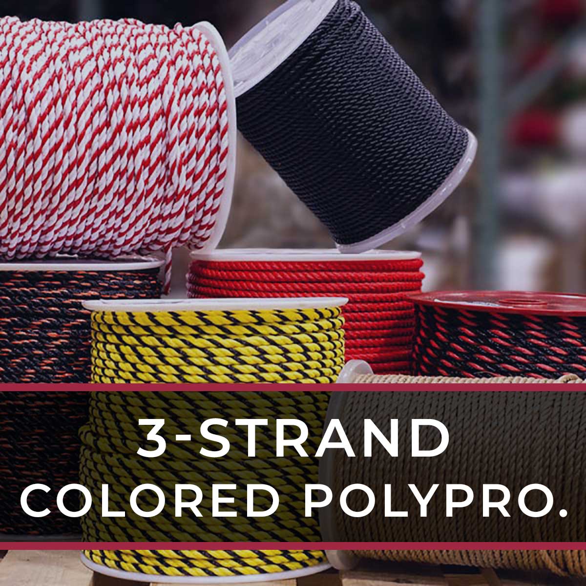 3-Strand Colored Polypropylene