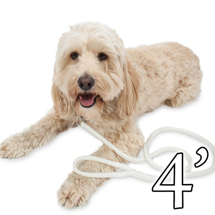 Dog Leash - 1/2" Braided Nylon