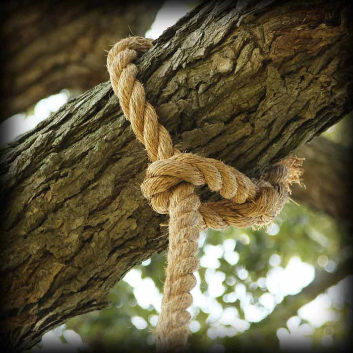 3-Strand Eye Splice