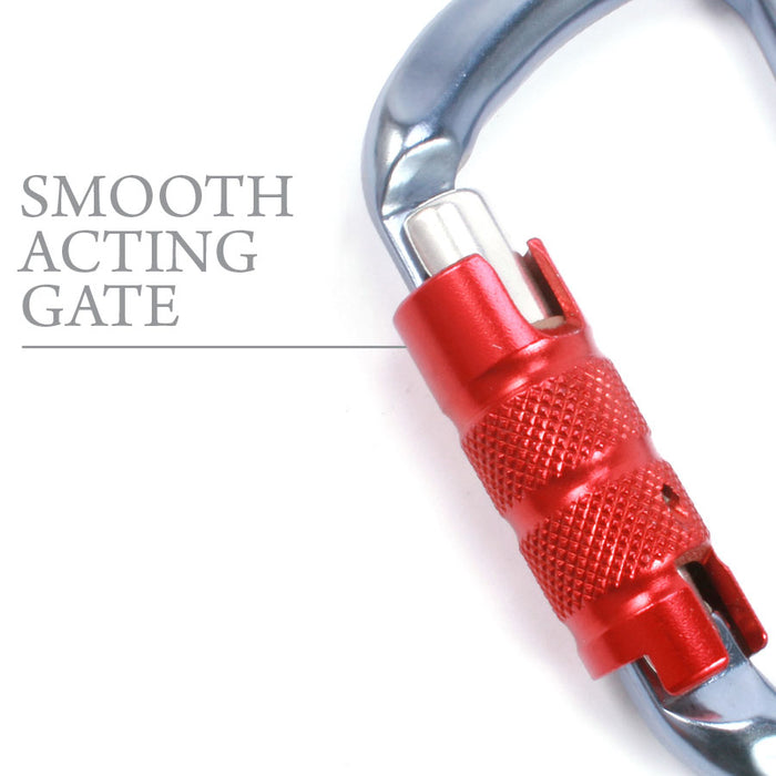 CT D-Carabiner | Blue with Red Gate