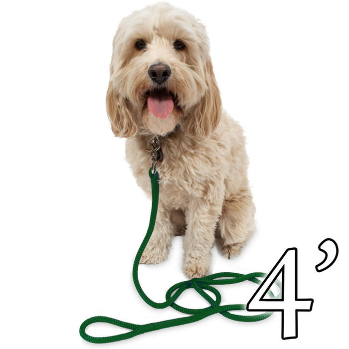 Dog Leash - 1/2" Braided Nylon