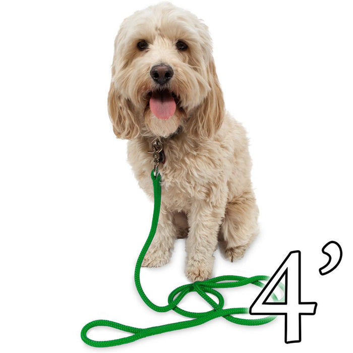 Dog Leash - 1/2" Braided Nylon